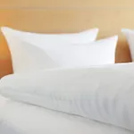 Dorint Parkhotel 4*