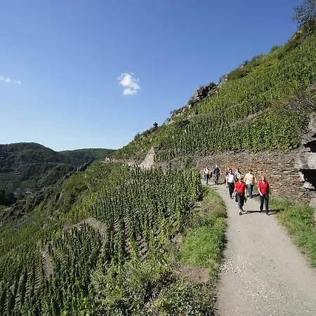 Dorint Parkhotel Hotel