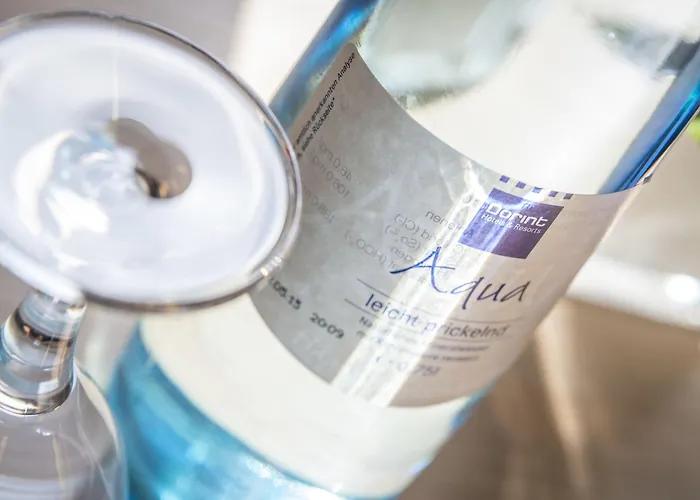 Dorint Parkhotel Hotel Bad Nauheim