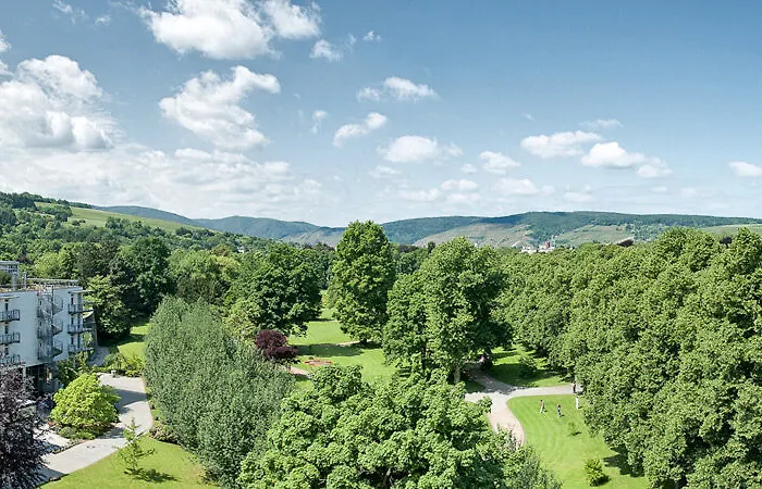 Hotel Dorint Parkhotel 4*